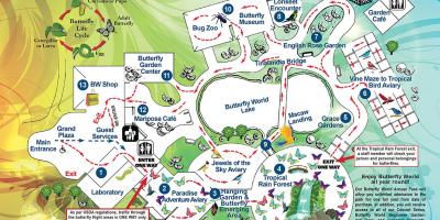دبئی تیتلی باغ محل وقوع کا نقشہ
